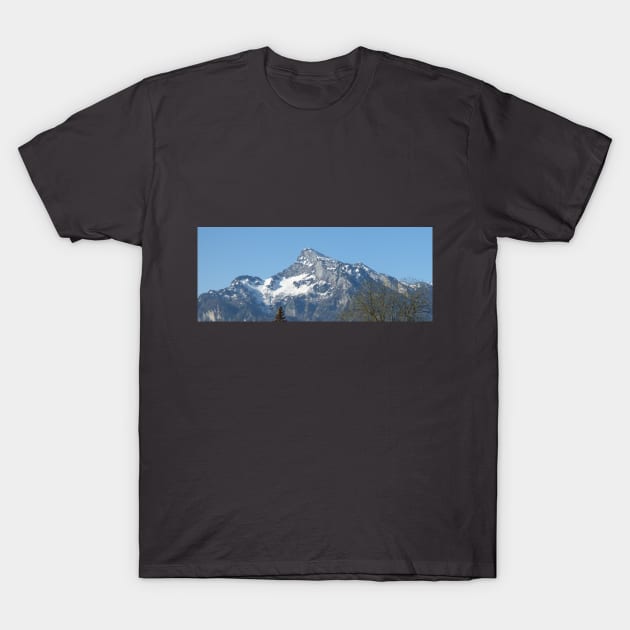 Alps 9 T-Shirt by NorthTees